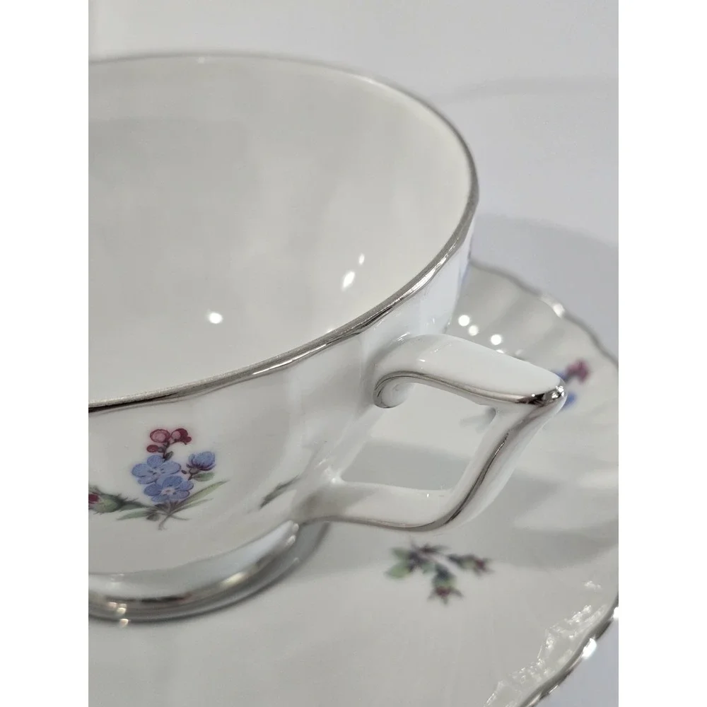 Vintage Royal Tettau Dresden Flowers Platinum Trim Footed Cup & Saucer